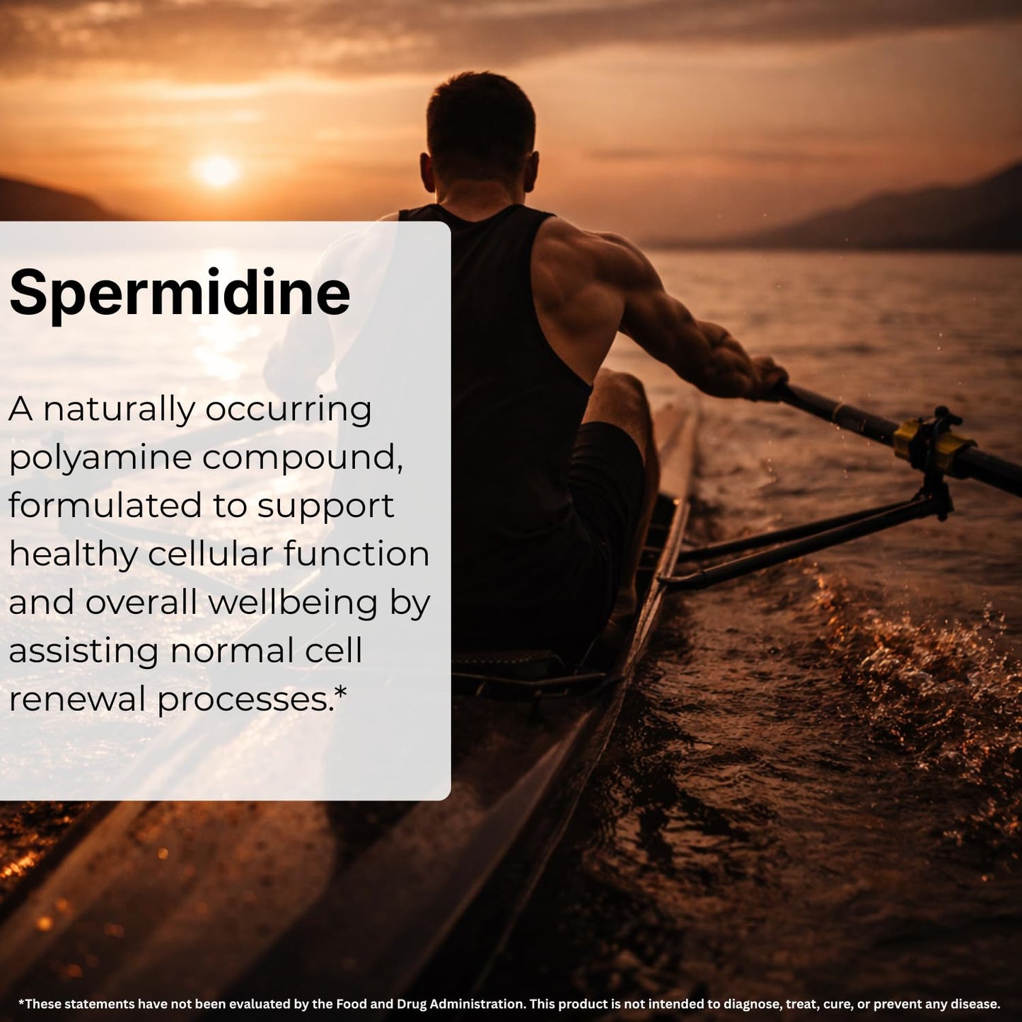 Spermidine 5mg