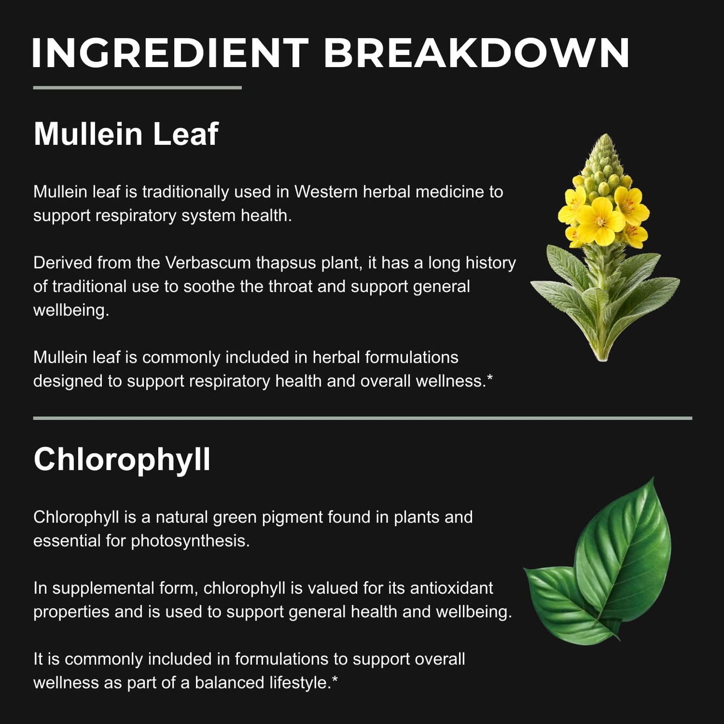 Mullein Leaf Extract Drops