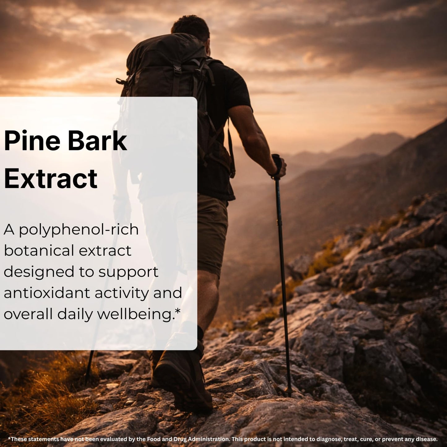 Pine Bark Extract 200mg