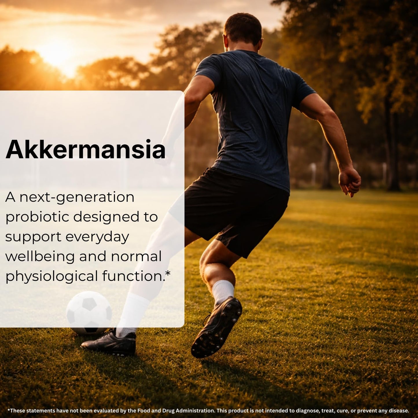 Akkermansia Muciniphila 1 Billion AFU Probiotic Capsules with Prebiotic Inulin Fibre